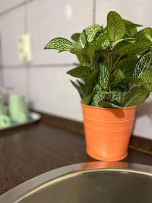 Apartament A13 Parliament Sunflower Cozy *