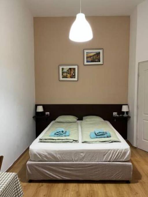 A13 Parliament Sunflower Cozy * Budapešť
